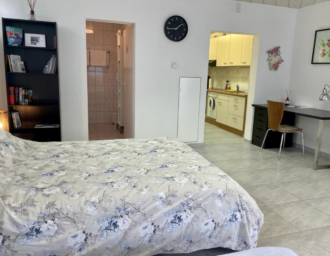 Studio In Stadtnaehe Zuerich Mit Guter Verkehrsanbindung Adliswil 外观 照片